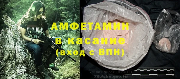 прущие грибы Балахна