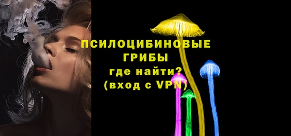 шишки Армянск