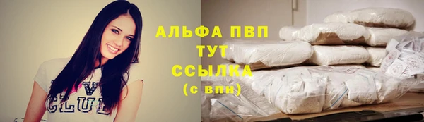 шишки Армянск