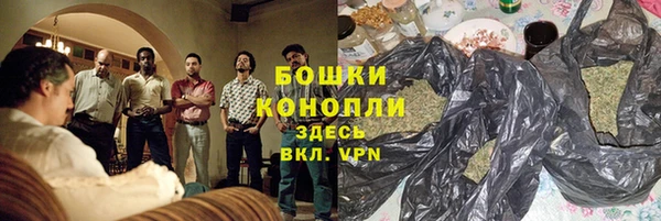 PSILOCYBIN Балабаново