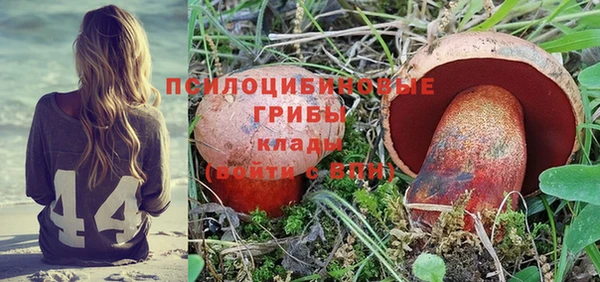 PSILOCYBIN Балабаново