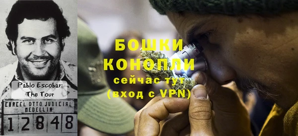 шишки Армянск
