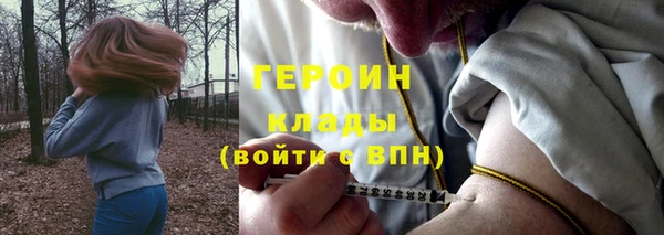 прущие грибы Балахна